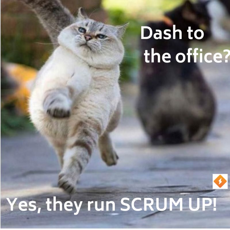 SCRUM UP! a ‘gamechanger’ for a team's productivity and collaboration!